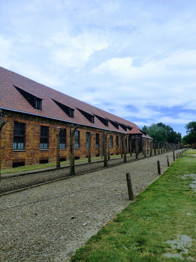 IMG_20240517_114644744