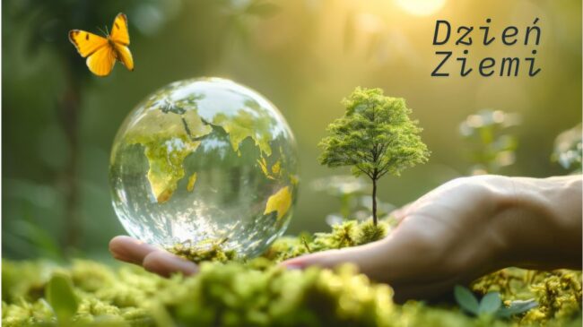 Bez nazwy (1280 x 70 px) (Witryna internetowa)