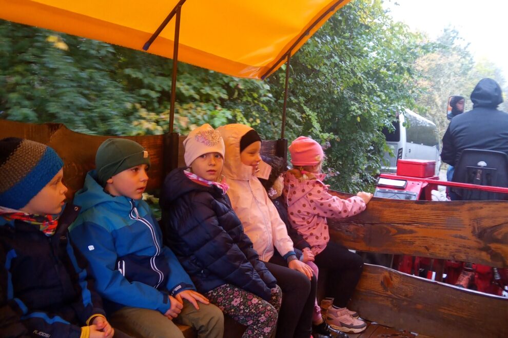 IMG_20251015_104706_810